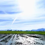 El Pinar De Arna Castañedo