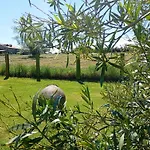 El Pinar De Arna Castañedo