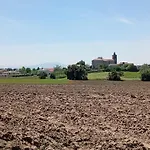 El Pinar De Arna Castanedo (Cantabria)