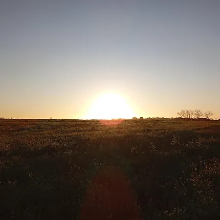 El Pinar De Arna *