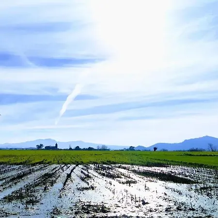 El Pinar De Arna Castañedo