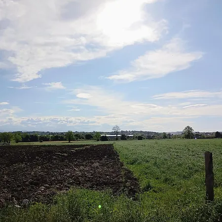 Vakantiehuis El Pinar De Arna