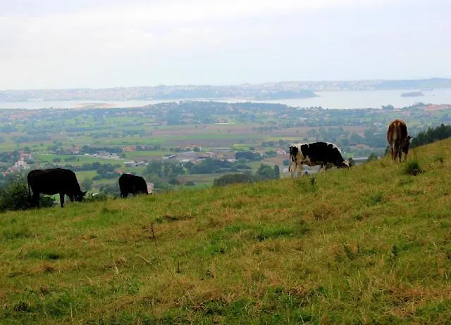 Hébergement de vacances El Pinar De Arna *