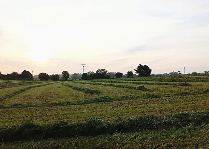 El Pinar De Arna Hébergement de vacances *