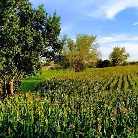 El Pinar De Arna *
