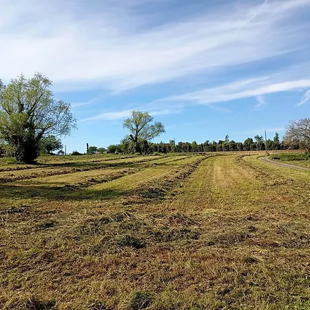 El Pinar De Arna Castañedo