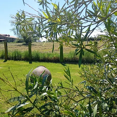 El Pinar De Arna Castañedo