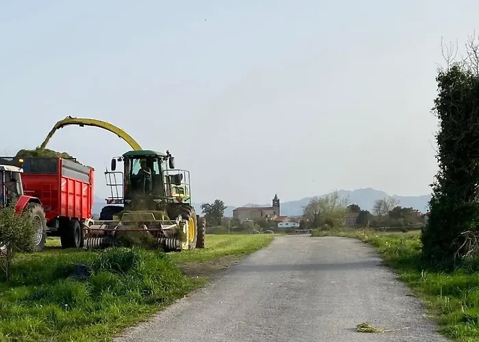 Hébergement de vacances El Pinar De Arna Castañedo