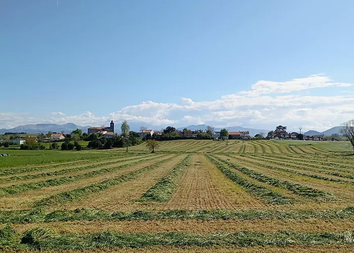 Hébergement de vacances El Pinar De Arna *