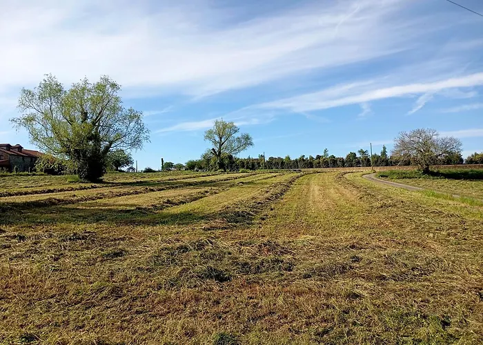 El Pinar De Arna Castañedo
