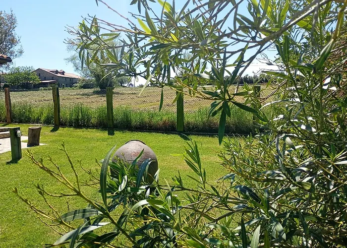 El Pinar De Arna Castañedo