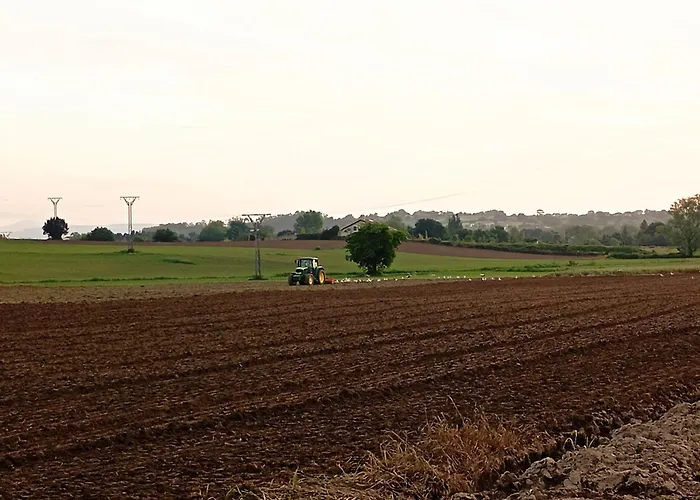 Vakantiehuis El Pinar De Arna